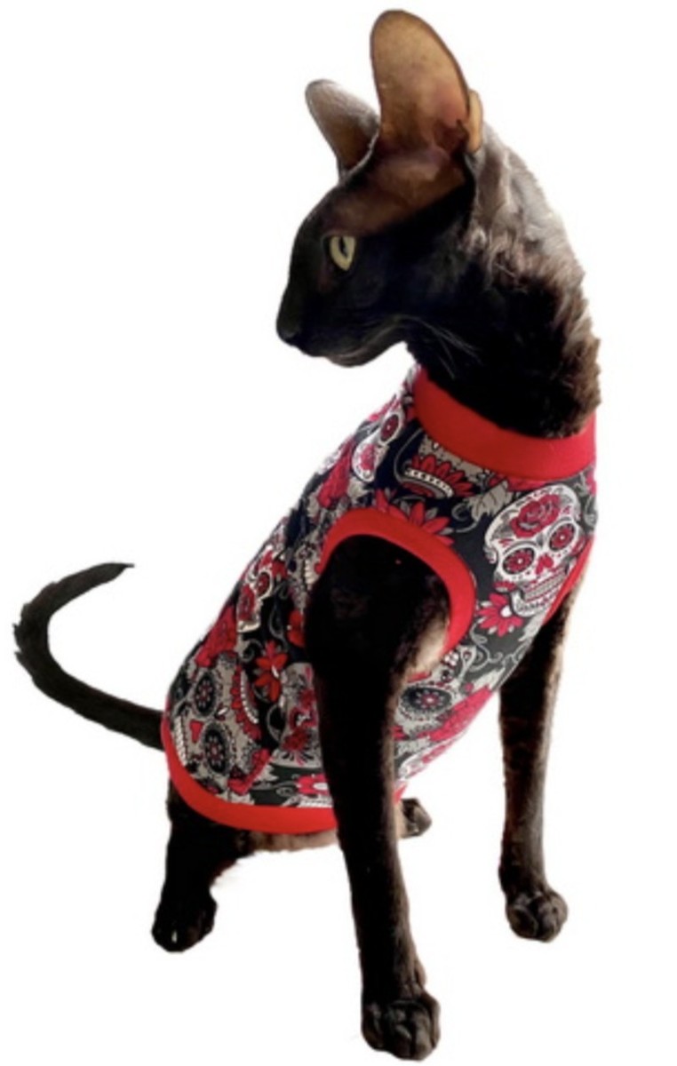 Kotomoda Cat T-Shirt Red Sculls Velour for Sphynx and Hairless