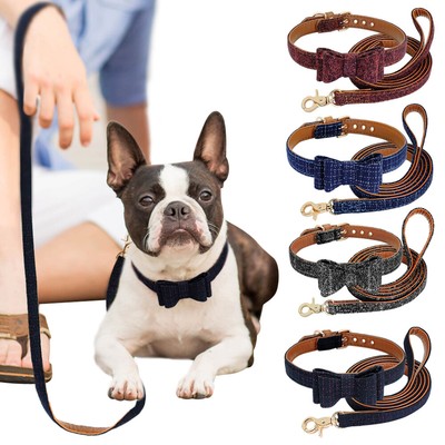 zoofari dog collar and lead