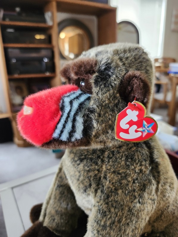 Beanie Buddy and Beanie Baby 'Cheeks' Orangutans With A Misprint.