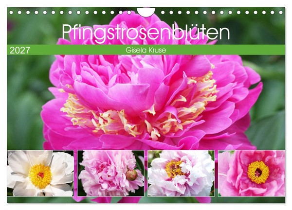 "Calendar 2027 · US Version · Peony Flowers (Wall Calendar 2027 12\" × 8\" Landscap"-image