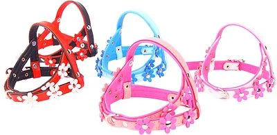 ZOOLESZCZ ARNÉS DE CUERO SUAVE REAL PERRO CACHORRO FLOR Diseñador COLOR ACOLCHADO Hecho a mano