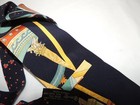 Foto 10 di 12