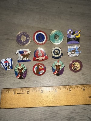 Lot of 13 Elks BPOE Pins Massachusetts Towns Webster Auburn Athol Natick￼
