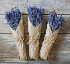 Dried Lavender Bundle   Organic True Grosso Lavender 300 Stems, 14  , Farm-Fres