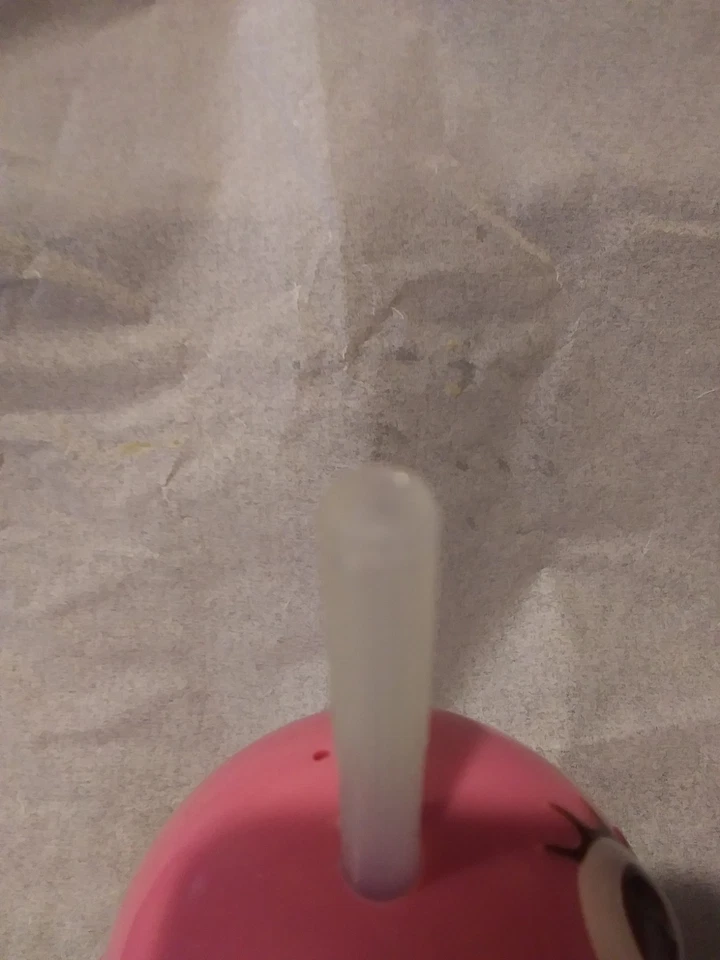 2013 Circo Pink Bird Sippy Cup canudo flexível 6" copo bonito instrução bebida - Imagem 4 de 4