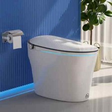 DeerValley ADA Height Smart Bidet Toilet Heated Seat Auto Flush Warm Wash Dryer