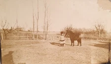 c1912 RPPC "Girl and Her Horse" Photograph Postcard. #-1175
