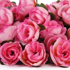 Bild 7 von 12