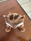 Build-A-Bear Alvin and the Chipmunks Alvin 14" — photo 5