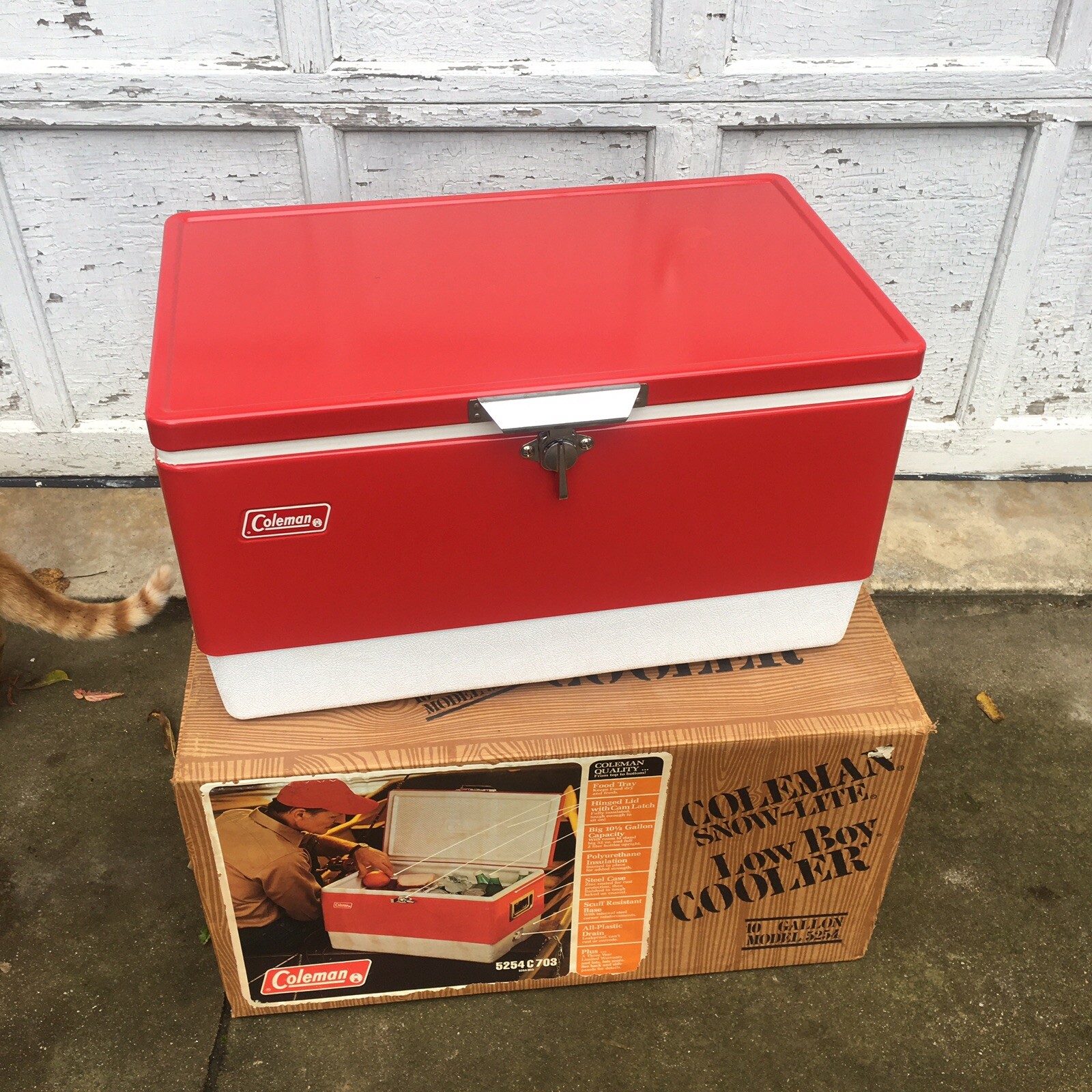 coleman lowboy cooler