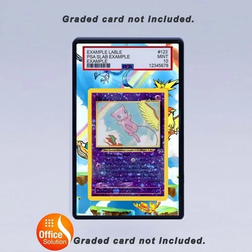 Wartortle Southern Islands #15
