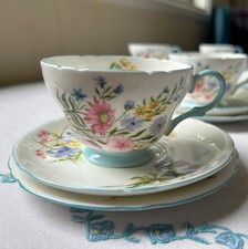 Vintage Shelley teaset for 6 Wild Flowers
