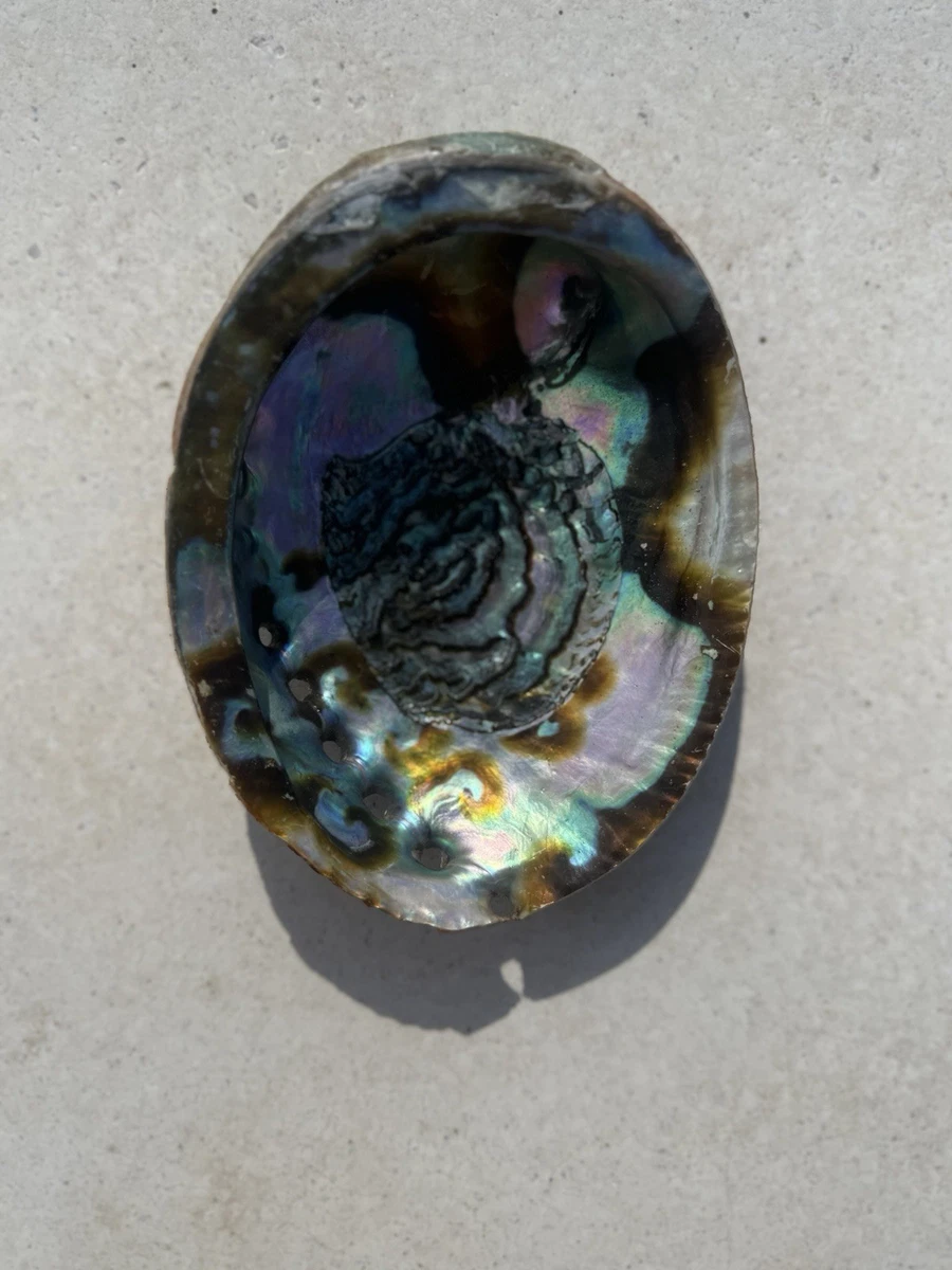 Ciondolo Ovale In Conchiglia Di Abalone Riempito In Oro 14 Carati - Foto 6