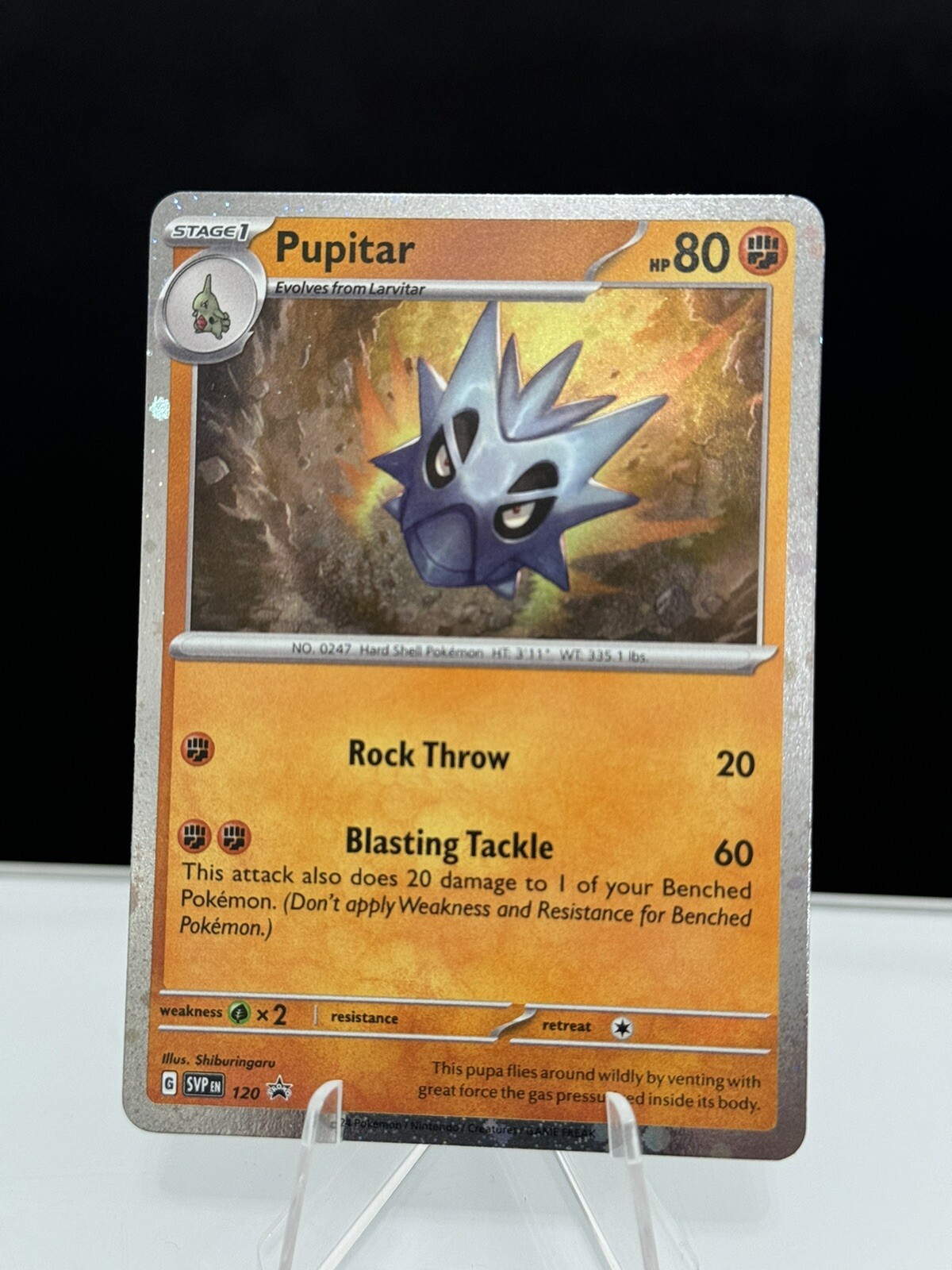 Pokémon TCG - Pupitar - 120 - SV: Scarlet & Violet PROMO Cards - NM - Cosmos