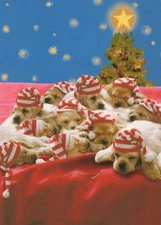 DOG Animals Vintage Postcard CPSM #PBQ553