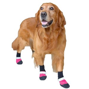 dog boots uk