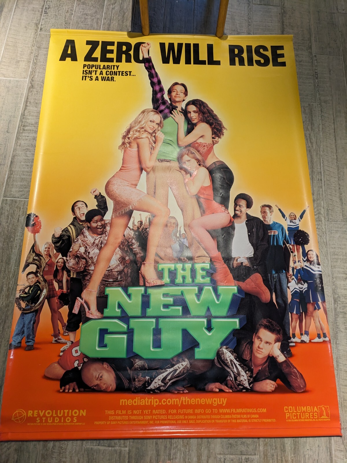 The New Guy 2002 Vinyl Banner 48×72 DJ Qualls Zooey Deschanel Eliza Dushku  – The Lion 90.7fm, image size:1200x1600