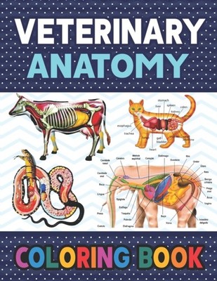 Publication - Veterinary Anatomy Coloring Book  Fun and Easy Veterinar - X555z
