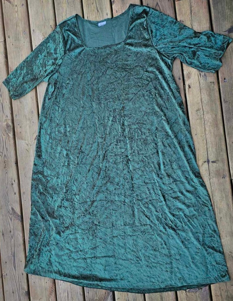 Princess Fiona Shrek Size 1x-2x Halloween Costume Dress Crushed Velvet Green  | eBay