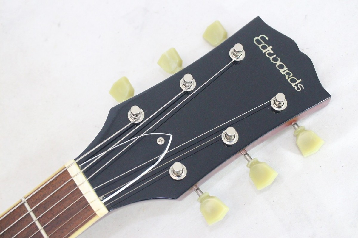 EDWARDS E-SG-110LT2 VT | eBay