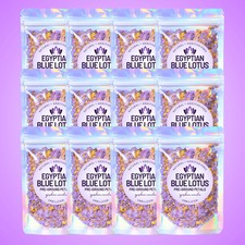 Pre-Ground Egyptian Blue Lotus • Wholesale Set of 12