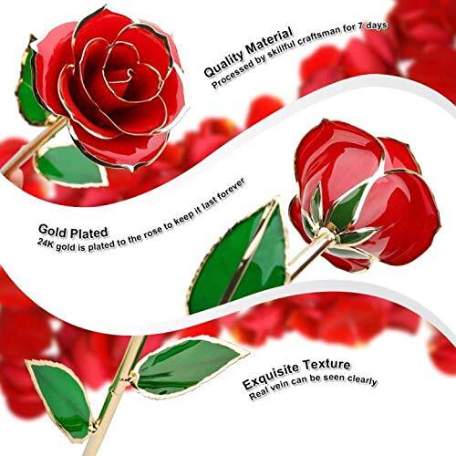 Gold Dipped Rose,24K Gold Rose with Transparent Stand,Real Long Stem Red - Picture 7 of 8