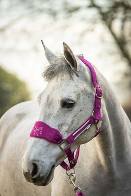 EINHORN FLEECE KOPFHALSBAND SET GRÖSSE VOLL BIS MINI SHETLAND AUSRÄUMUNG FUSHIA