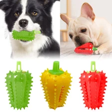 Interactive Dog Teething Chili Chewers Toy Interactive Toys Dog Toys TR