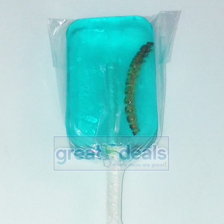 Hotlix Blueberry Sucker Worm Sucker Sugar Free Lollipop Real Insect Candy Gag 