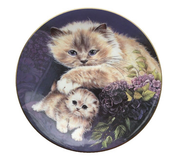 ROYAL WORCESTER Fine Bone China Teller COLOURPOINT KATZE & KÄTZCHEN