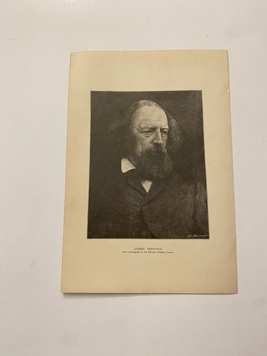 Lord Alfred Tennyson Portrait Poet Laureate of the United Kingdom c. 1883 Print
