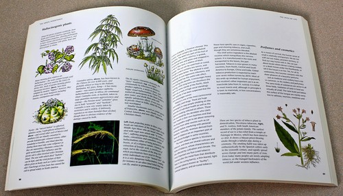 GREEN INHERITANCE – SAVING THE PLANTS OF THE WORLD - Foto 2 di 6