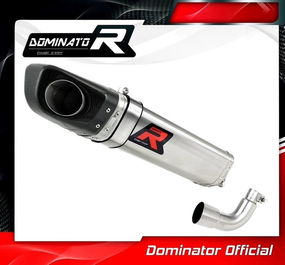 Silenciador RS4 125 escape HP4 carbono Dominator Racing silenciador 2015 2016 2017 - Imagem 2 de 4