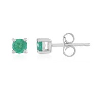 Cavill Ohrringe Damen Sterlingsilber 925 Platin Sambia Smaragd 0,54Ct
