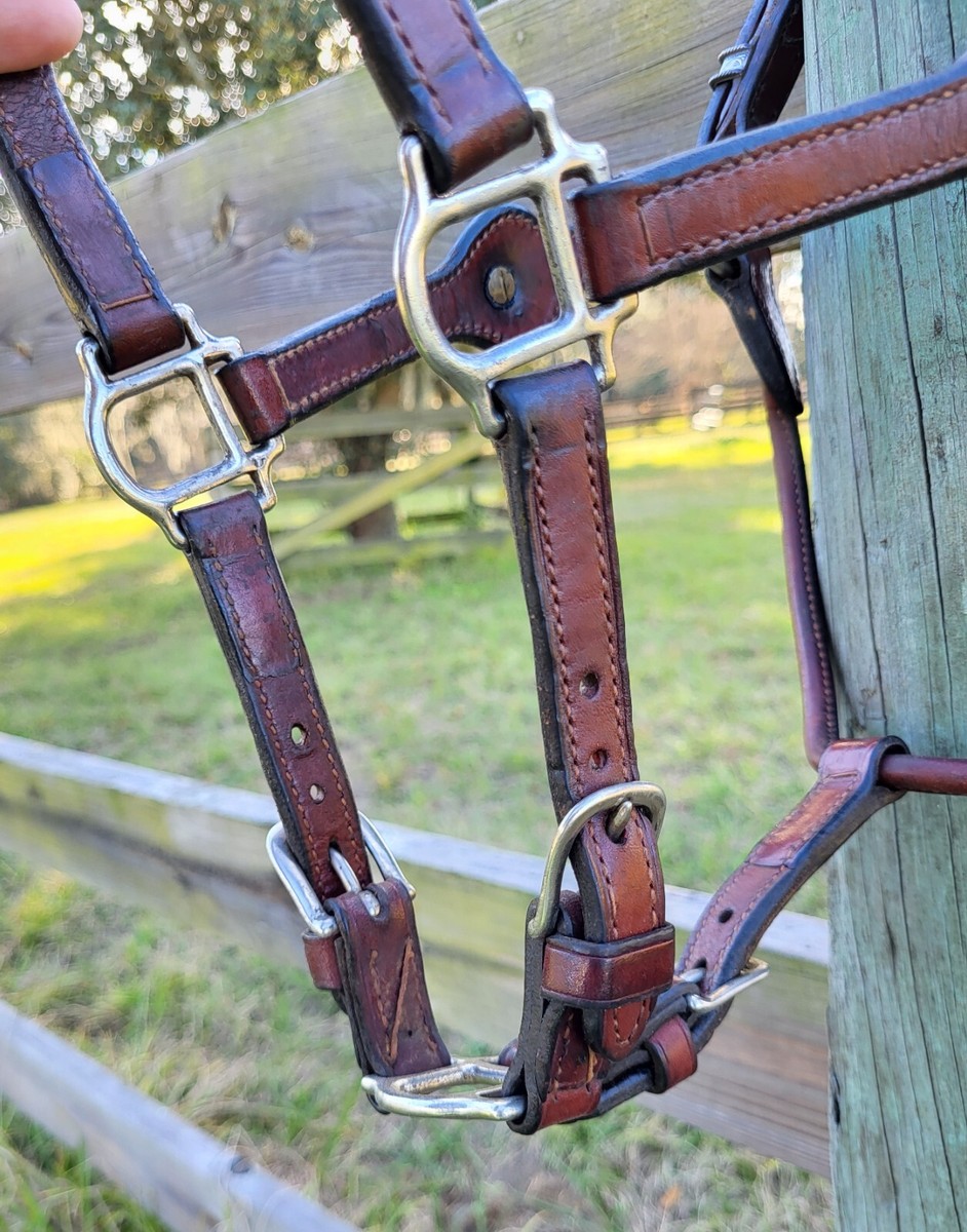 レアREGAL 2021 year model Horse Leather __dsc9454-4_1.jpg