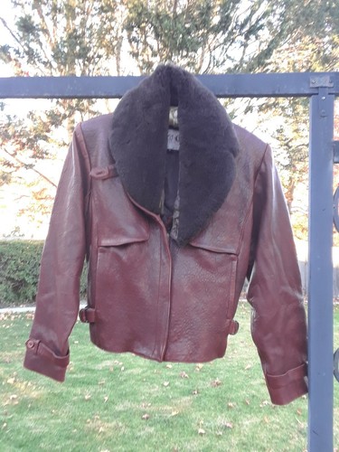 Sea Dream Women Brown Cordovan Zip 
