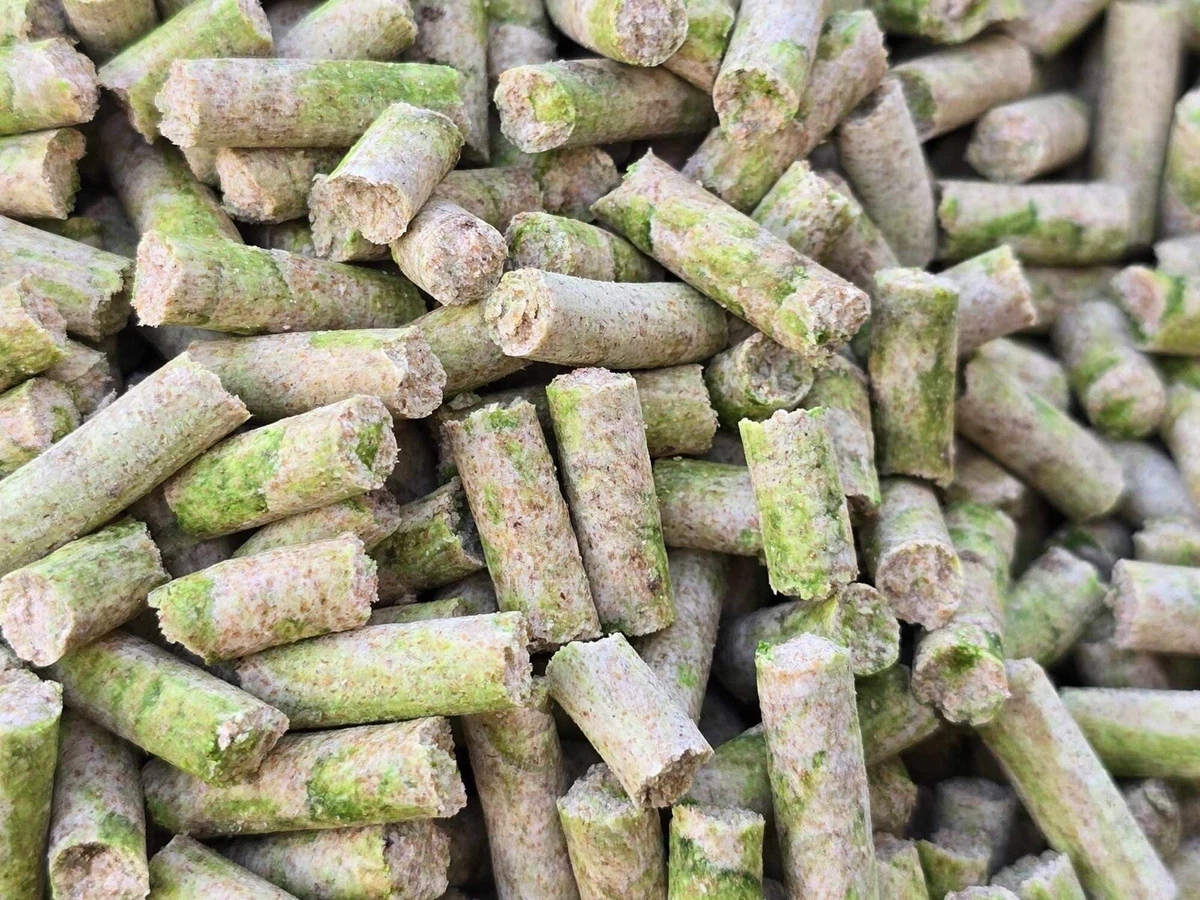 Pellets carpe The Source Dynamite Baits
