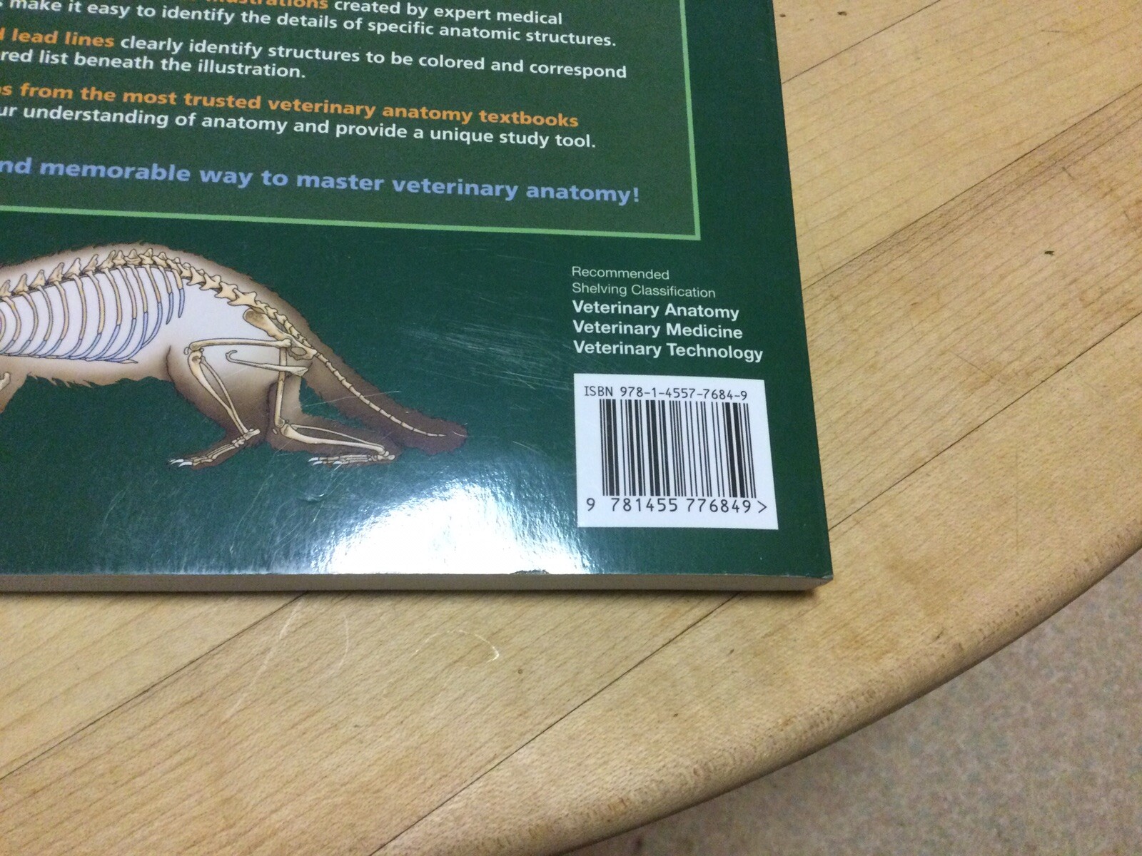 Saunders Veterinary Anatomy Coloring Book Second Edition by Baljit Singh 9781455776849 eBay