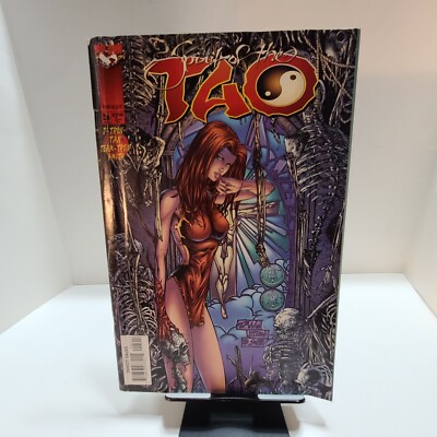 Spirit of the Tao   Tron Team-Tron Smith Comic from Top Cow.