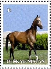 Turkmenistán 2014, Definitivo, Saltos a Caballo Ahaltke, 1v