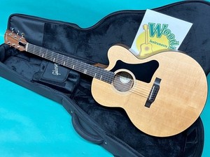 Gibson G 00 | eBay