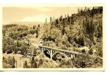 Pretty Aerial Landscape-Bridge-Mountain-Trees-RPPC-Vintage Real Photo Postcard