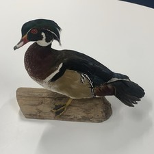 Wood Duck Mount On A Piece Of Driftwood