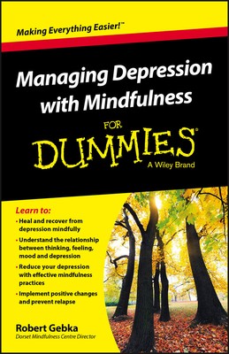 Umgang mit Depressionen mit Achtsamkeit für Dummies Gebka Taschenbuch 9781119029557