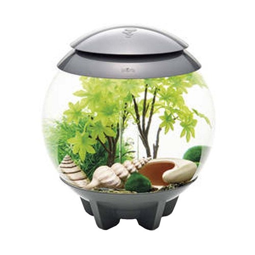 BiOrb Aquarium Fish Tank Easy Decor Set 15L - Summer Ornament - Picture 3 of 4