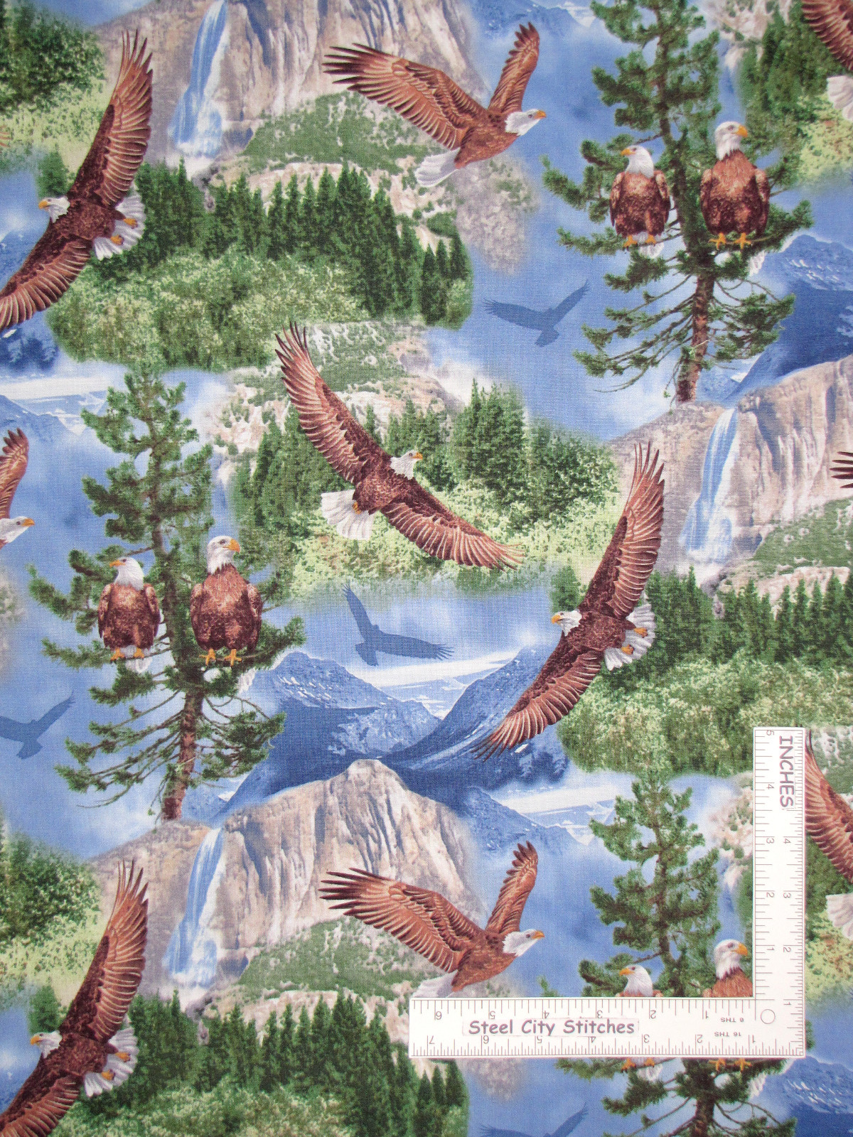 Eagle Bird Scenic Mountain Forest Cotton Fabric Timeless Treasures C7103 By Yard