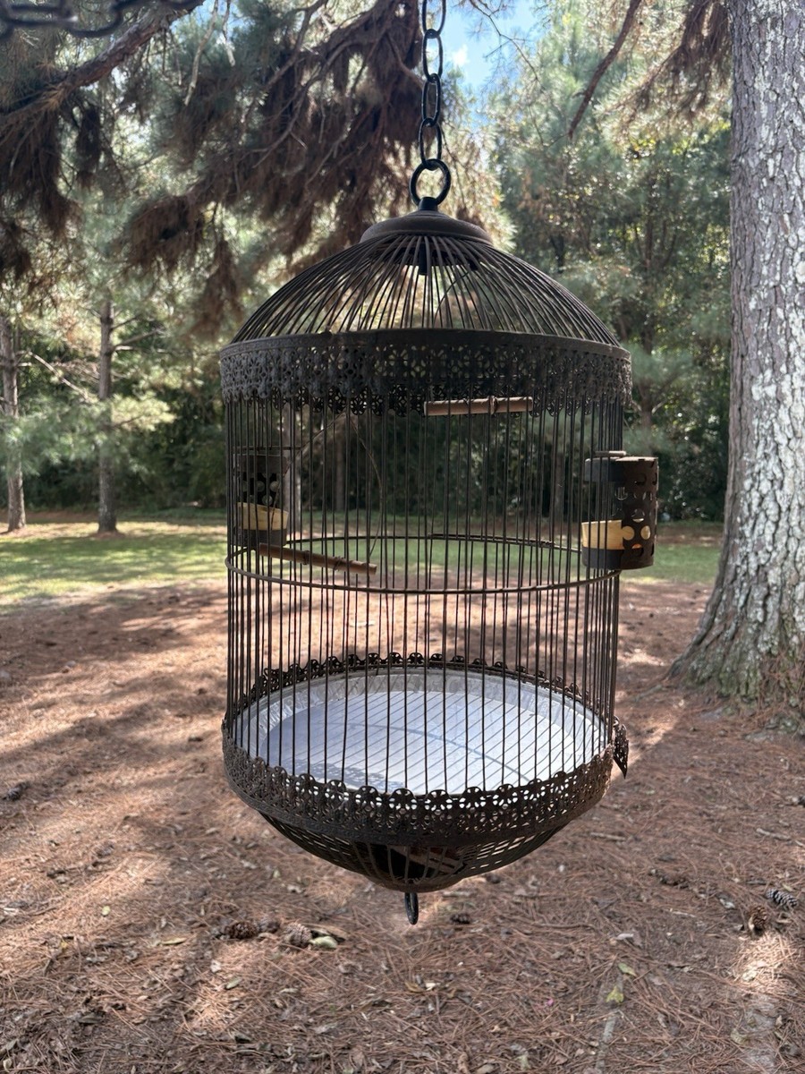 バードスタンド Vintage Metal Hanging Bird Cage Ornate 27” Tall | eBay