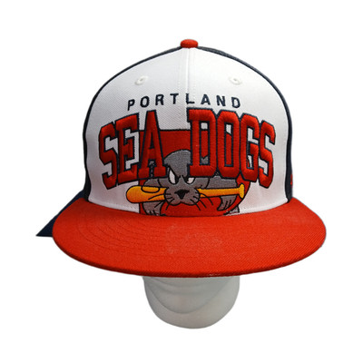 MLB Portland Sea Dogs '47 Brand Baseball Cap Mens One Size Multi Snapback