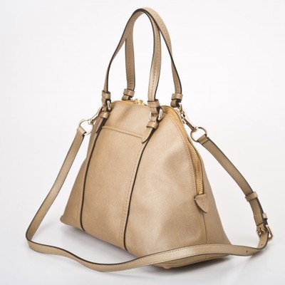 m NWT Coach PEYTON LEATHER CORA DOMED SATCHEL Handbag 25671 Silver