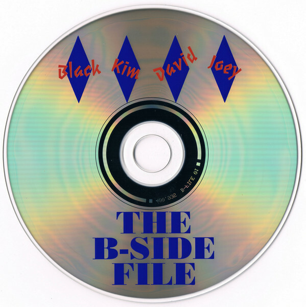 PIXIES The B-Side File CD German Import 1994 RARE 24 Trax | eBay
